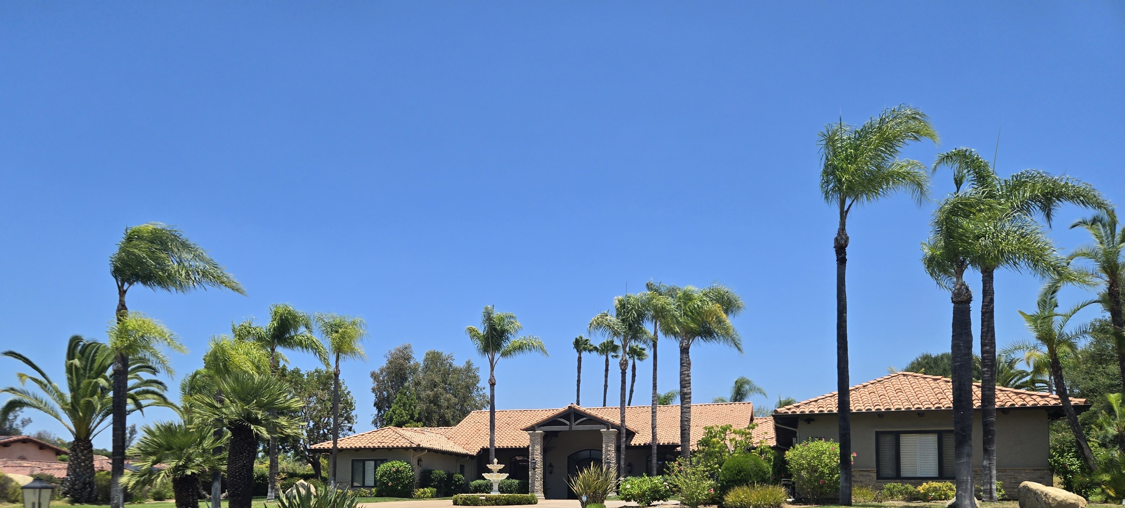 Multiple mature palms in front of a Poway estate property