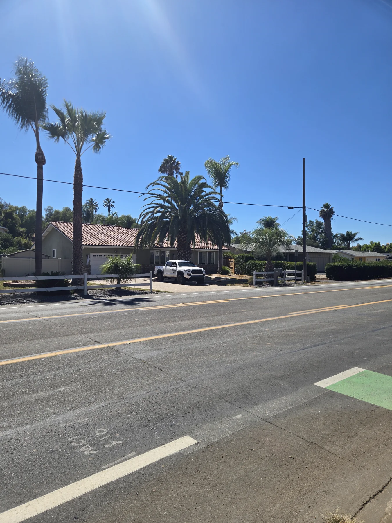Mature Canary Island date palm and its San Marcos property setting