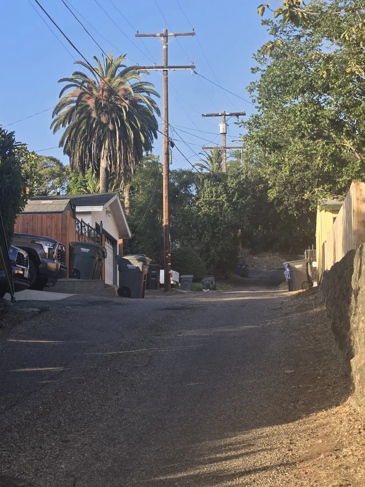 Mature Canary Island date palm visible above homes on an Old Escondido street
