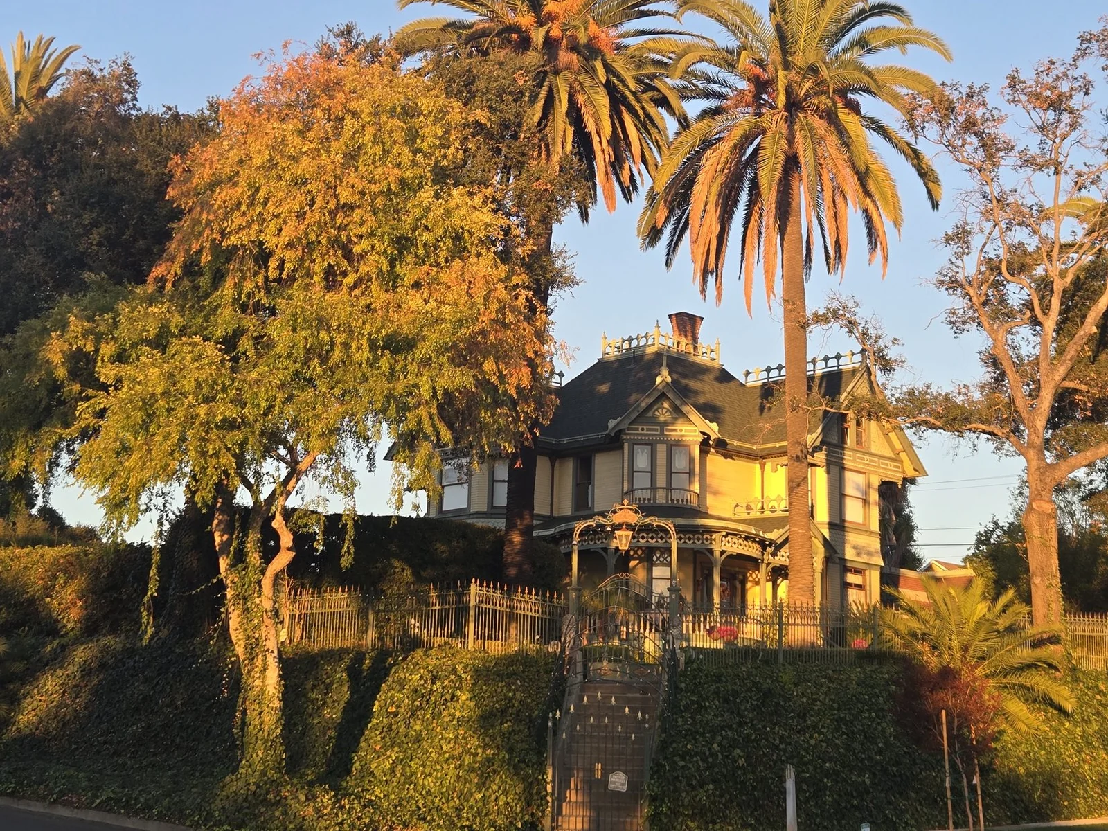 Albert H. Beach House in Old Escondido framed by two mature Canary Island date palms