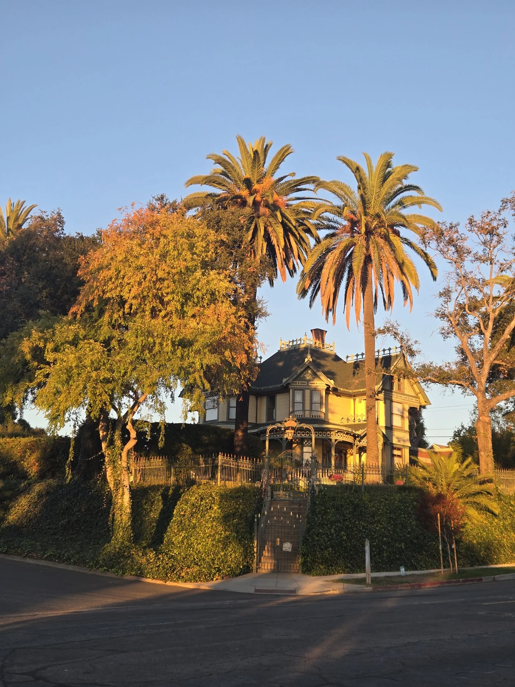 Albert H. Beach House in Old Escondido with two mature Canary Island date palms rising above its Queen Anne roofline at golden hour