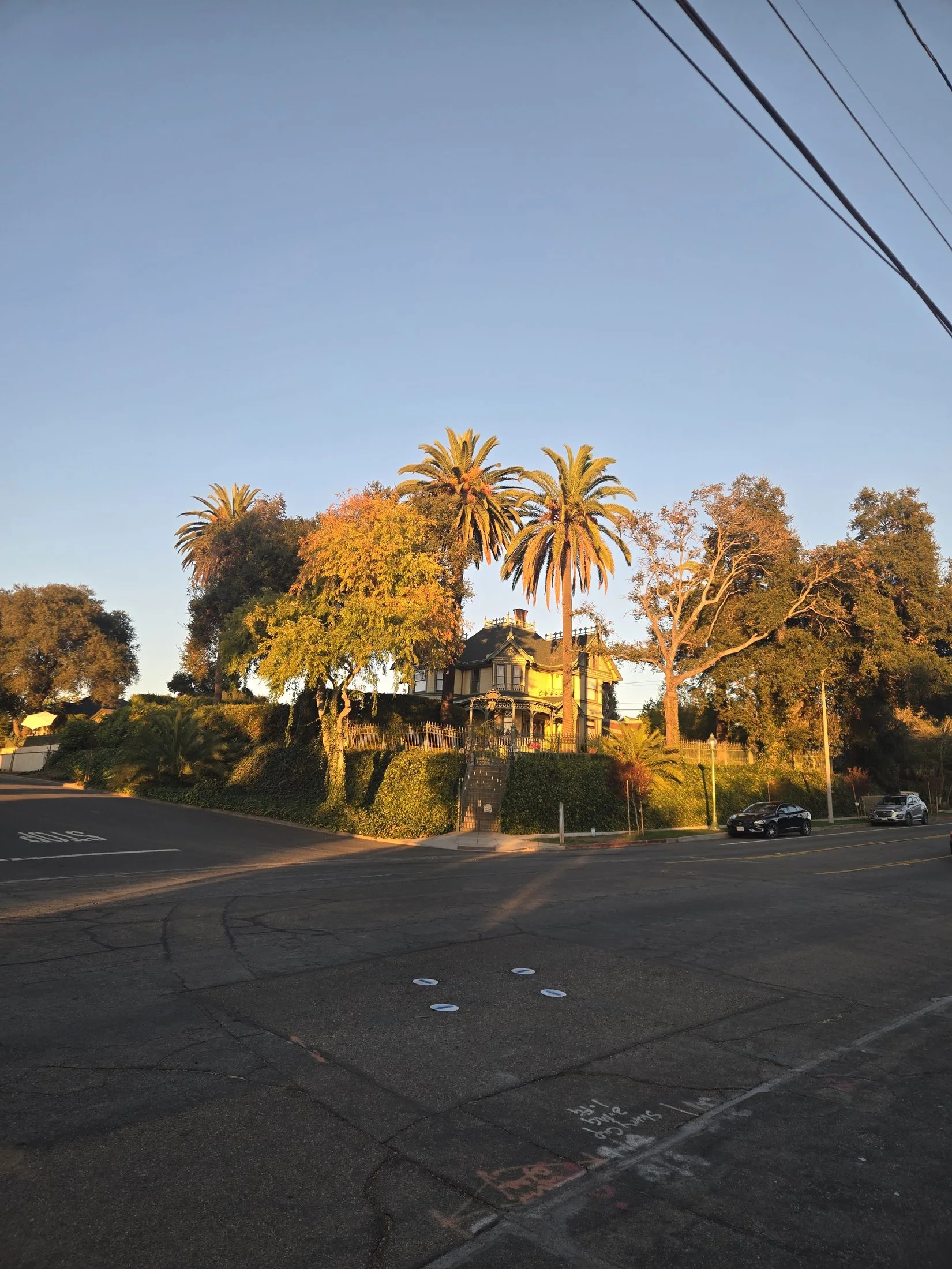 Wide Old Escondido streetscape with the Albert H. Beach House and mature Canary Island date palms at the corner