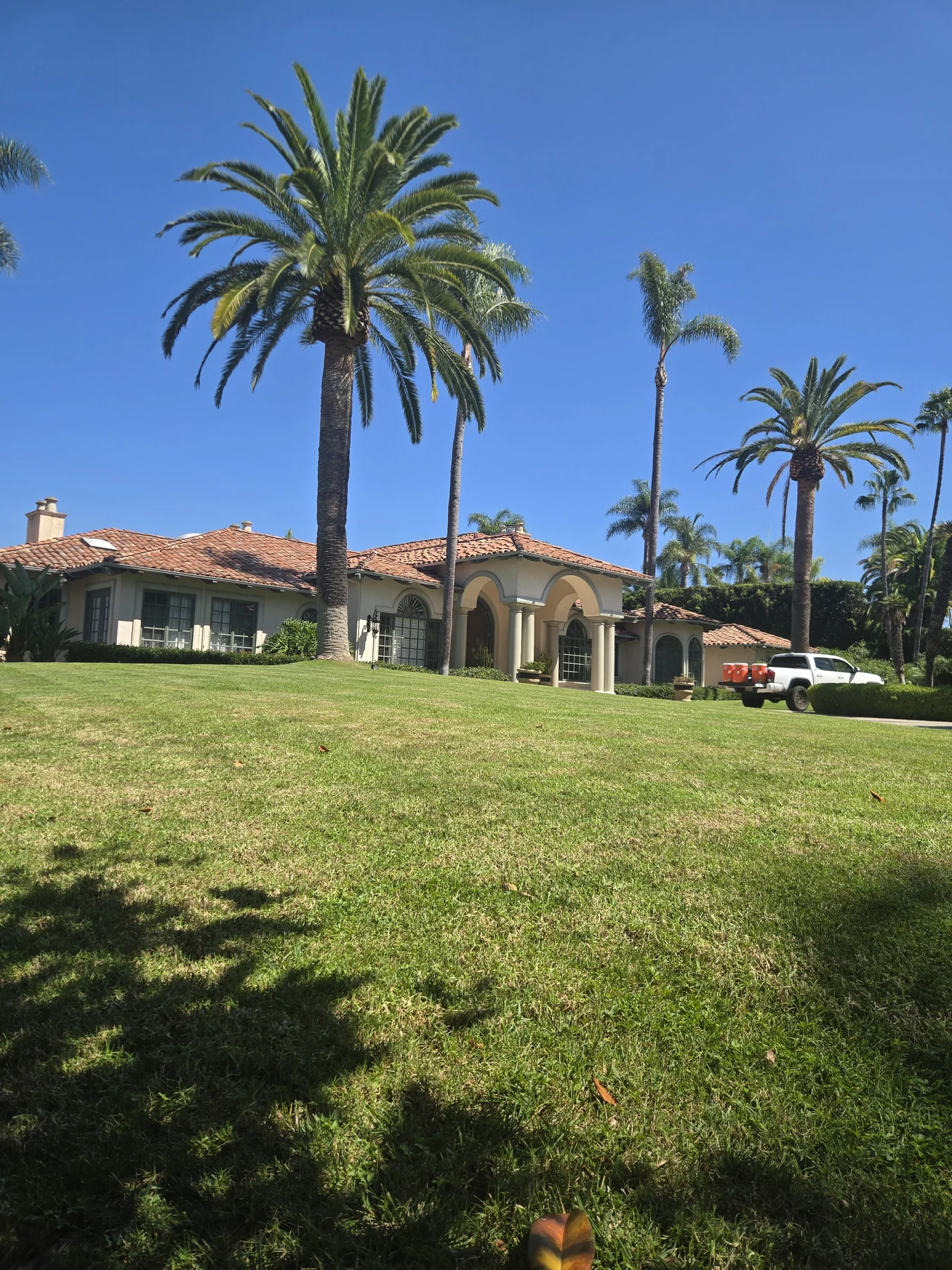 Two established Canary Island date palms framing a tile-roof residence and lawn