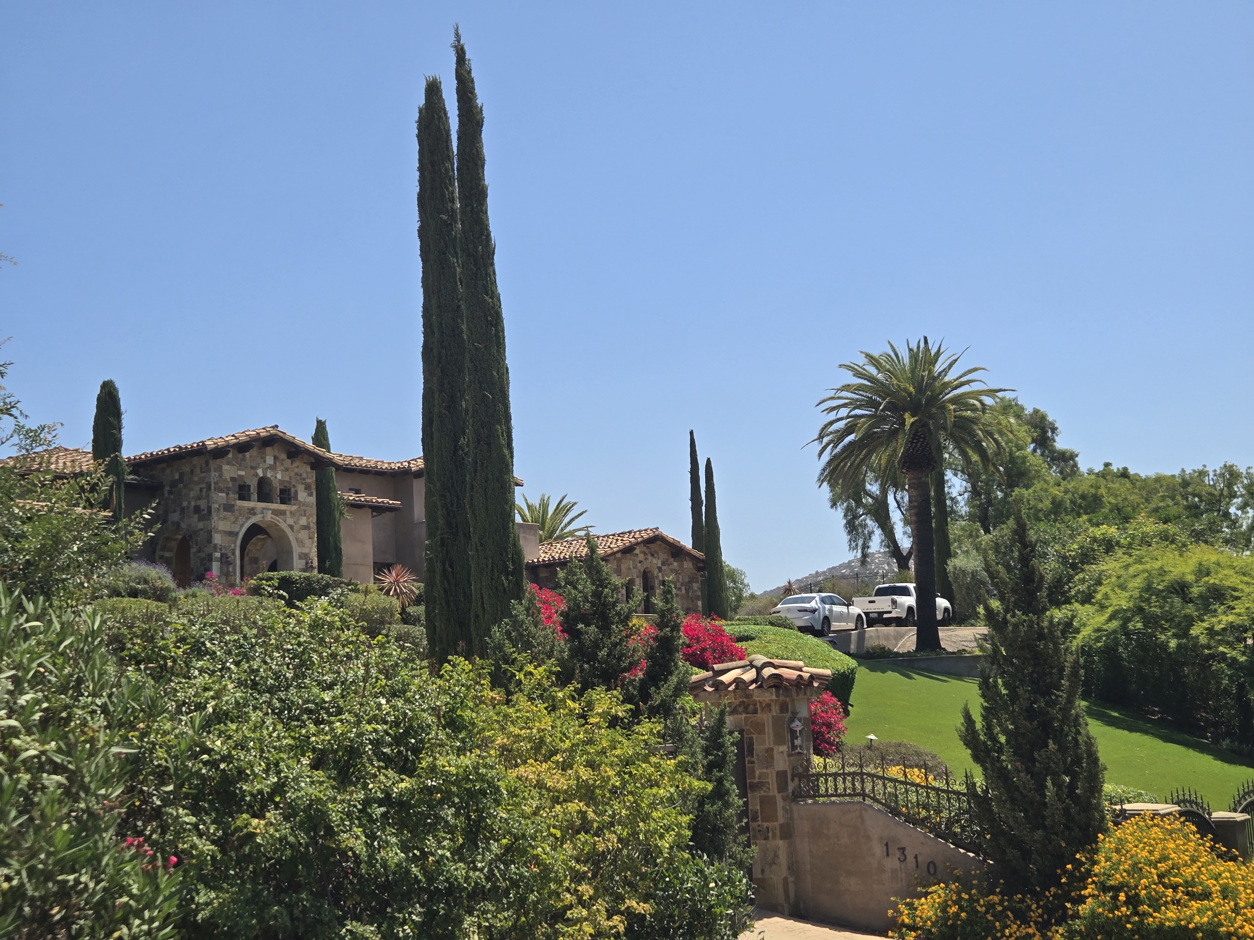 Mature Canary Island Date Palm on an Escondido estate property