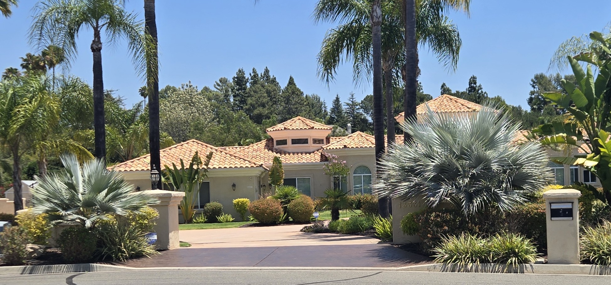 Silver-blue specimen palms in front of a luxury Poway home