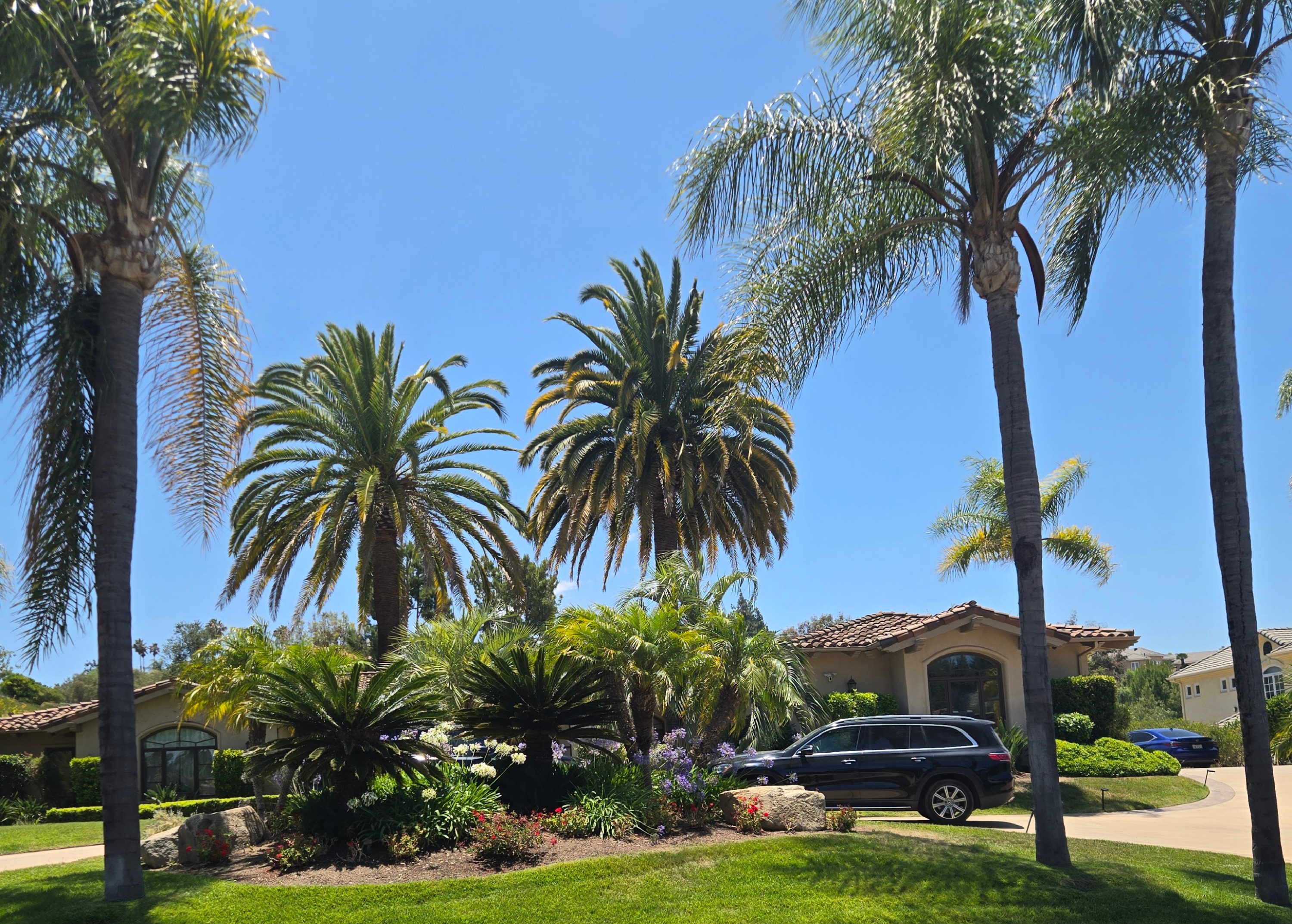 Owner performing mature CIDP care